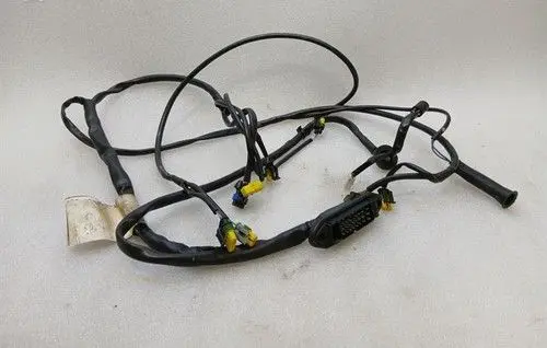 Ferrari 360 Front door wiring loom/harness boot