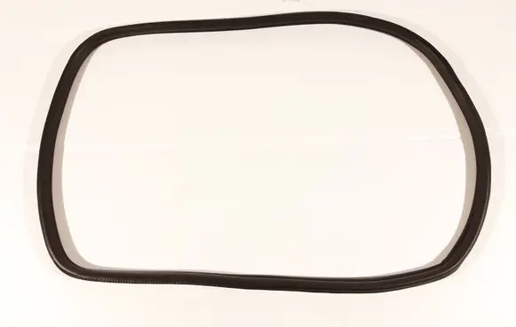 Mini Clubman F54 Rear door rubber seal (on body) 7344161