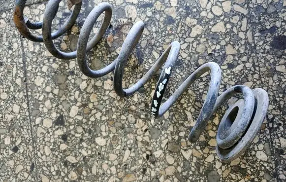 Rear coil spring