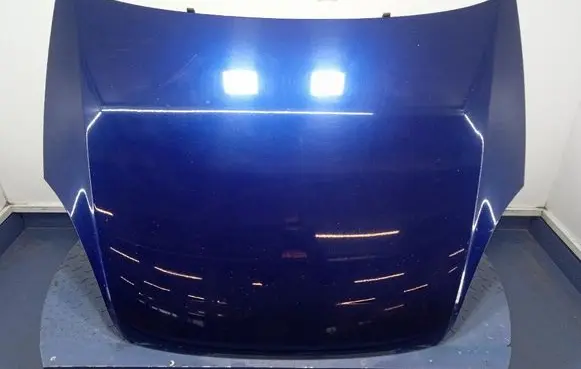 Engine bonnet/hood