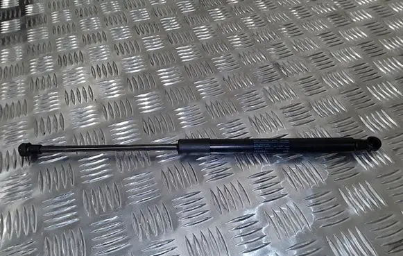 Tailgate/trunk strut/damper