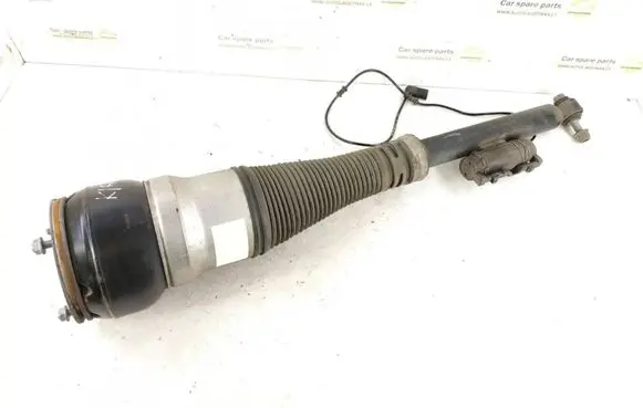 Mercedes-Benz S C217 Rear shock absorber/damper DALISID4866 2173200713 2225400405