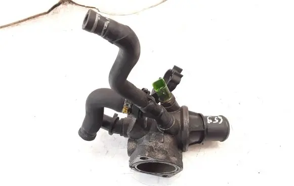 Thermostat/thermostat housing