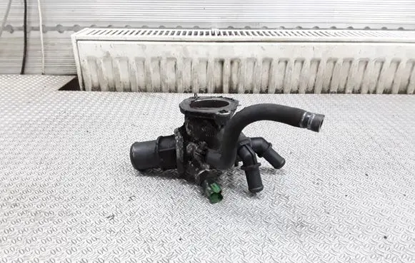 Thermostat/thermostat housing