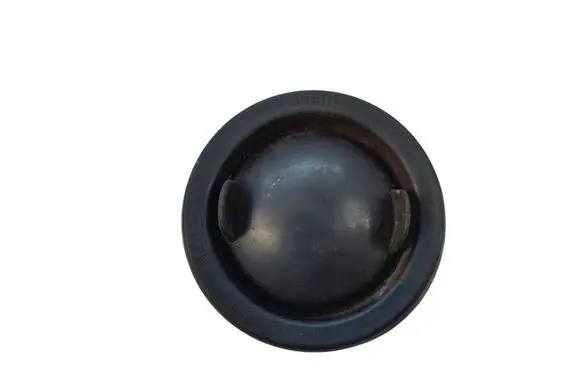 Ford Edge II Headlight/headlamp dust cover L90019559