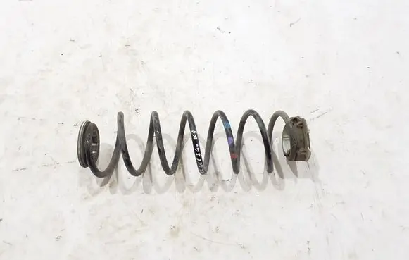 Rear coil spring