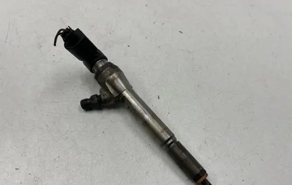 Nissan Qashqai Fuel injector 8200842205 98200244780