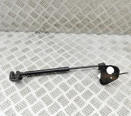 Tesla Model 3 Highland Front bonnet/hood damper/strut 164598900A
