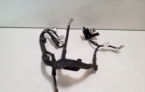Toyota Corolla E210 E21 Negative earth cable (battery) 82123F4010B 288500Y020