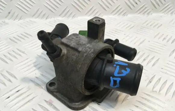 Thermostat/thermostat housing