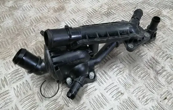 Thermostat/thermostat housing