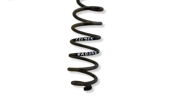Renault Kadjar Rear coil spring 