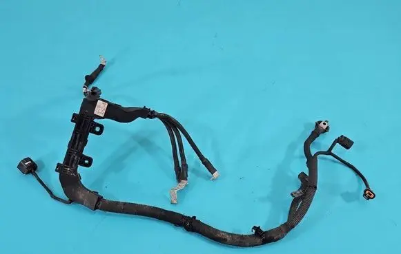 Engine installation wiring loom