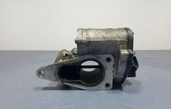 Suzuki Grand Vitara II EGR valve A2C53025930