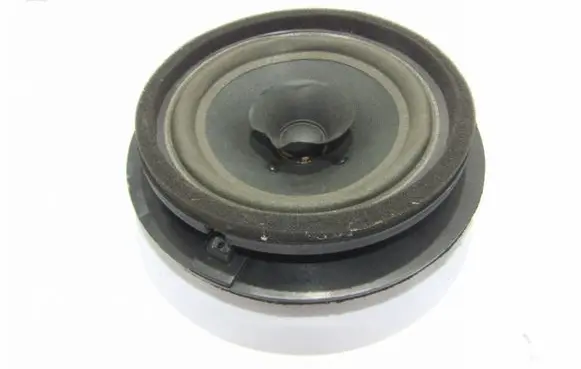 Rear door speaker
