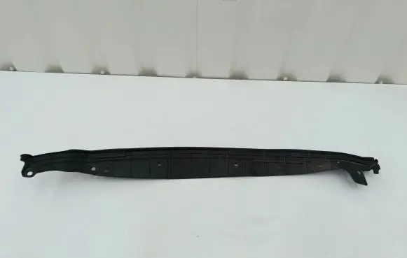 Chrysler 300C Front door trim (molding) 68039979AB