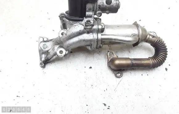 Renault Megane III EGR valve cooler