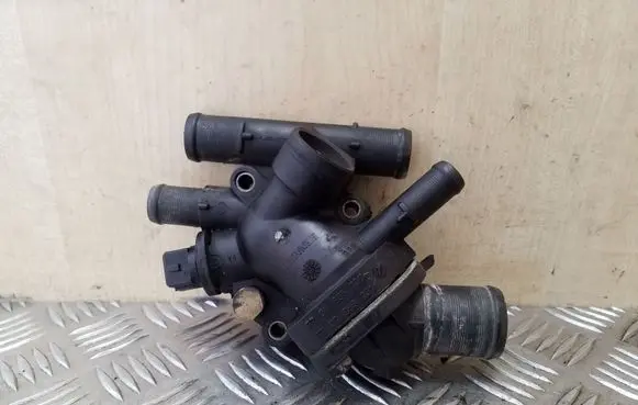 Thermostat/thermostat housing