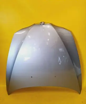 Engine bonnet/hood