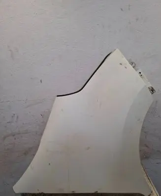 Opel Movano B Fender F25D001 631000018R