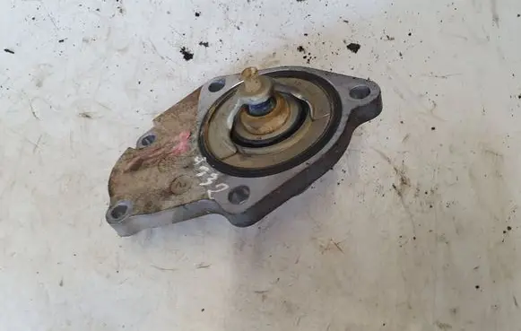 Thermostat/thermostat housing