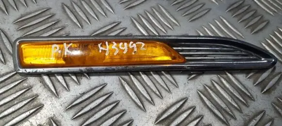 Front fender indicator light