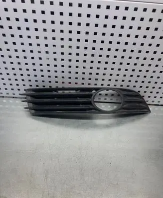 Volkswagen PASSAT B6 Front bumper lower grill 3C0853666