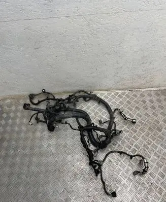 Nissan Juke I F15 Engine installation wiring loom 240111kc6a