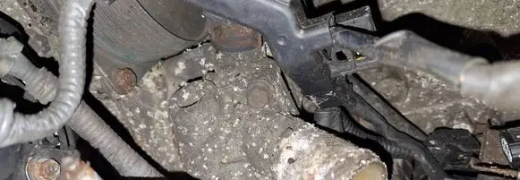 Honda FR-V Engine coolant pipe/hose