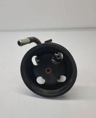 Suzuki Grand Vitara II Power steering pump 4910067J00 1Y284071
