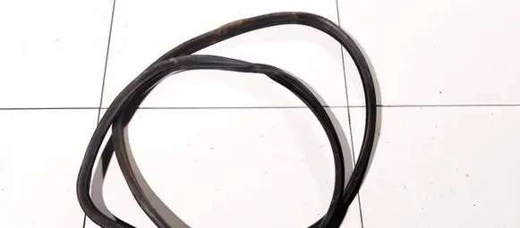Citroen Xsara Picasso Rubber seal front coupe door 