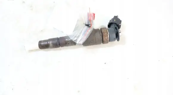 Peugeot Partner Fuel injector 0445110739