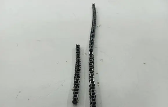Mini Cooper Countryman R60 Timing chain (engine) 