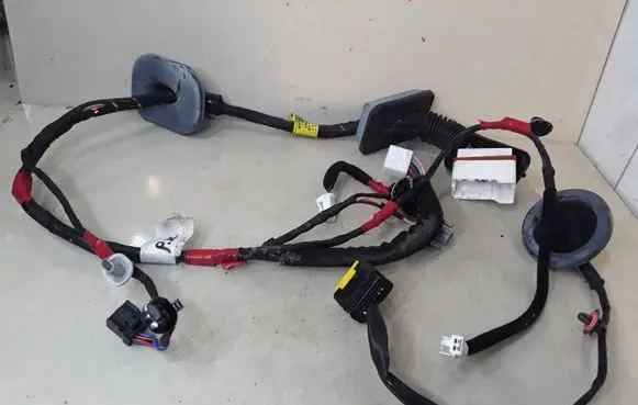 Hyundai Santa Fe Front door wiring loom 916102B110