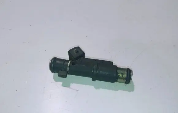 Citroen Xsara Picasso Fuel injector 01F003A02243