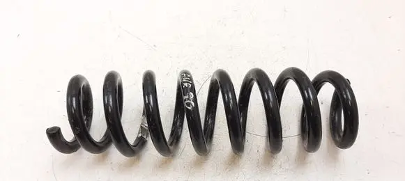 BMW 3 GT F34 Rear coil spring
