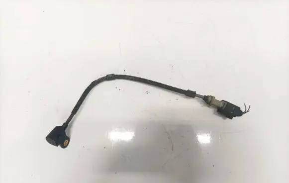 Skoda Octavia Mk2 (1Z) Camshaft position sensor 1j0973723