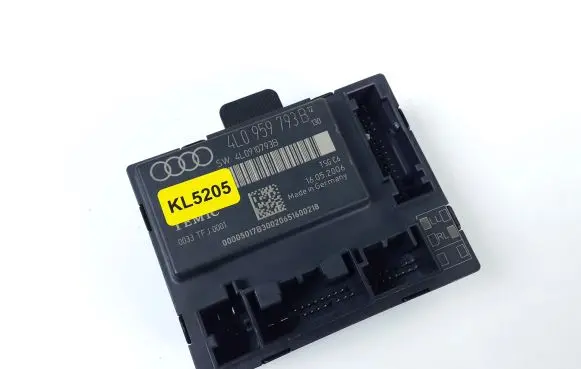 Audi Q7 4L Door control unit/module 4L0959795B 4L0910793B