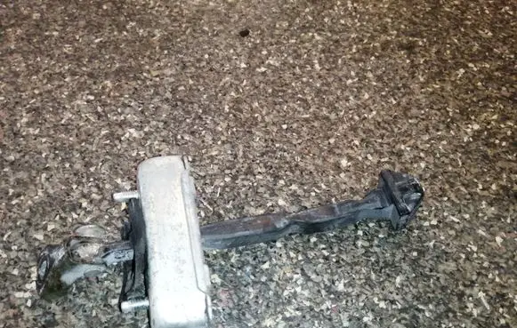 Lexus RX 300 Front door check strap stopper
