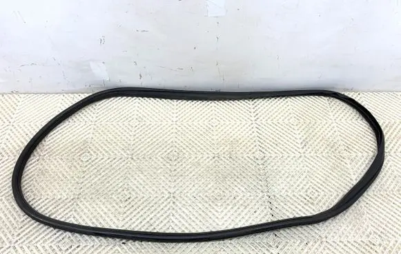 Fiat Tipo Rubber seal front door (on door) 