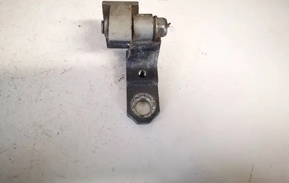 Rear door lower hinge