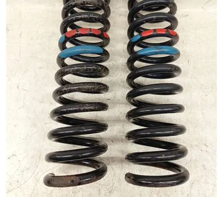 Rear coil spring