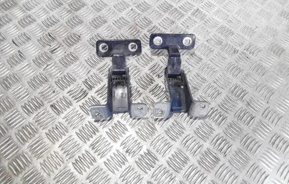 Dacia Dokker Tailgate/trunk/boot hinge 844009913R