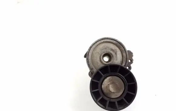 Citroen C5 Generator/alternator belt tensioner