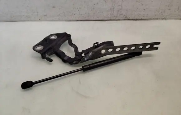Engine bonnet/hood hinges