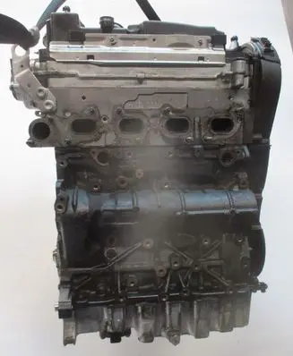Skoda Rapid (120G, 130G, 135G) Engine 