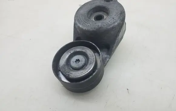 Mercedes-Benz CLS C219 Timing belt/chain tensioner A6422001370