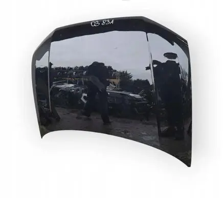 Audi Q3 F3 Engine bonnet/hood 4XYTEILE