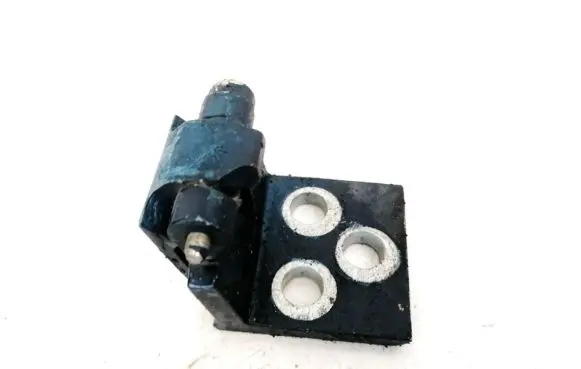 Citroen Xsara Front door upper hinge