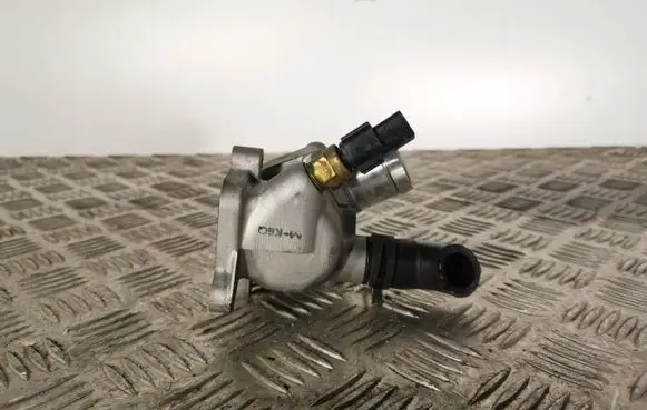 Thermostat/thermostat housing